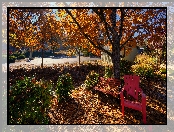 Krzesło, Jesień, Drzewo, Dąb, Ławeczka