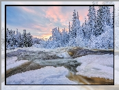 Drzewa, Zima, Ośnieżone, Krzewy, Rzeka, Oblodzona