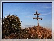 Przydrożny, Krzyż, Trawy