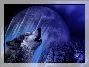 Wilk, Księżyc, Drzewa
