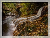 Las, Kumbria, Anglia, Most, Rzeka River Gelt, Drzewa