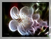 Kwiat, Fractalius, Drzewo, Owocowe