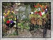 Kwiatowe, Fontanna, Staw, Anglia, Dekoracje, Park