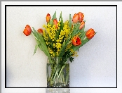 Kwiaty, Bukiet, Tulipany, Akacja srebrzysta