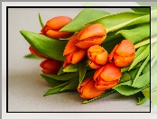 Kwiaty, Tulipany, Bukiet, Pomarańczowe