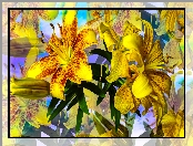Żółte, Grafika, Kwiaty, Lilie