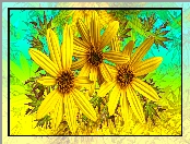 Grafika, Kwiaty, Żółte