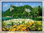Kwiaty, Zamek, Kośclół, Słowenia, Jezioro, Bled