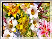 Kwiaty, Grafika, Kolorowe, Lilie