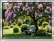 Park, Kwiaty, Ławka, Drzewa, Klomby