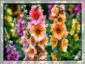 Malwy, Grafika AI, Kwiaty