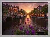 Holandia, Kwiaty, Zachód słońca, Amsterdam, Domy, Kanał, Most