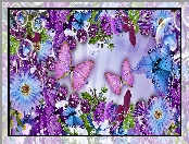 Kwiaty, Motyle