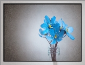 Niebieskie, Kwiaty, Wazon