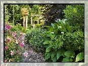 Ogród, Kwiaty, Rośliny