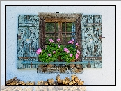 Dom, Kwiaty, Parapet, Okno, Pelargonie