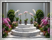 Storczyki, Donice, Podium, Kwiaty