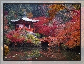 Kyoto, Mostek, Park, Woda