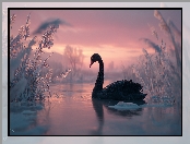 Czarny, Jezioro, Trawy, Łabędź, Grafika AI