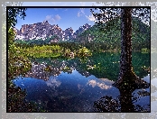 Drzewa, Jezioro Laghi di Fusine, Alpy Julijskie, Włochy, Góry, Prowincja Udine