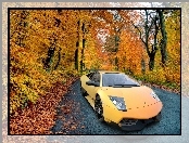 Lamborghini Murcielago, Las, Jesień