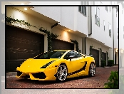 Żółte, Lamborghini, Gallardo