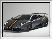 Lamborghini Murcielago SV, Malowanie
