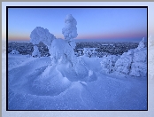  Zima, Laponia, Mgła, Finlandia, Drzewa, Wschód słońca, Wzgórze, Rezerwat Valtavaara