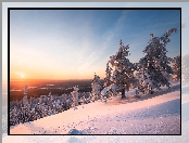 Park Narodowy Riisitunturi, Drzewa, Zima, Finlandia, Zachód słońca, Laponia