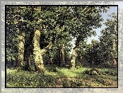 Drzewa, Las, Obraz