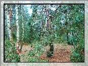 Las, Zieleń, Drzewa, Rośliny