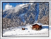 Góry, Las, Domek