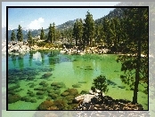 Las, Kamienie, Jezioro, Kalifornia, Góry, Tahoe