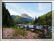 Góry, Las, Rzeka