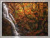 Las, Wodospad, Strumień, Jesień, Hiszpania, Uguna waterfall, Kraj Basków, Drzewa, Park Narodowy Gorbea