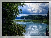 Las, Jezioro