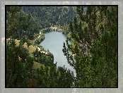 Las, Jezioro