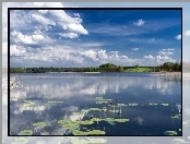 Jezioro, Las, Chmury