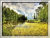 Jezioro, Las, Chmury