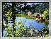 Jezioro, Las, Dom