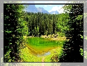 Jezioro, Las, Góry