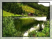 Jezioro, Las, Hotel
