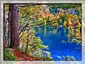 Jezioro, Las, Jesień