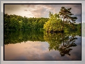 Jezioro, Las, Odbicie