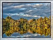 Jezioro, Las, Odbicie