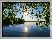 Jezioro, Las, Słońce