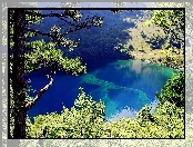 Jezioro, Las, Szwajcaria