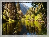 Góry, Stan Kalifornia, Stany Zjednoczone, Las, Park Narodowy Yosemite, Rzeka