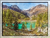 Palu Lake, Kamienie, Góry, Szwajcaria, Drzewa, Jezioro, Las