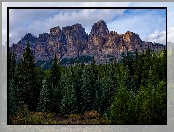 Góra Castle Mountain, Park Narodowy Banff, Kanada, Drzewa, Góry, Las